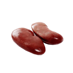 Нирки